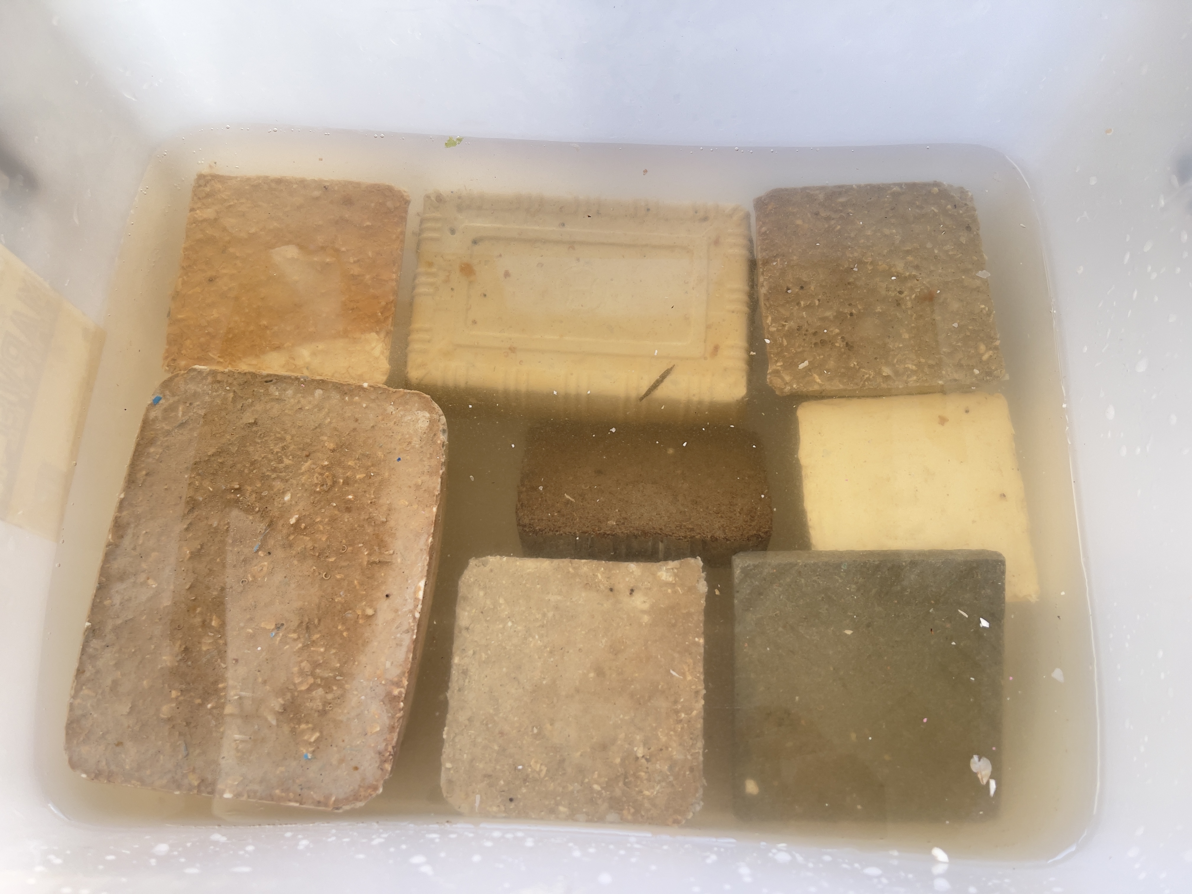 Plastic samples soaked in seawater
