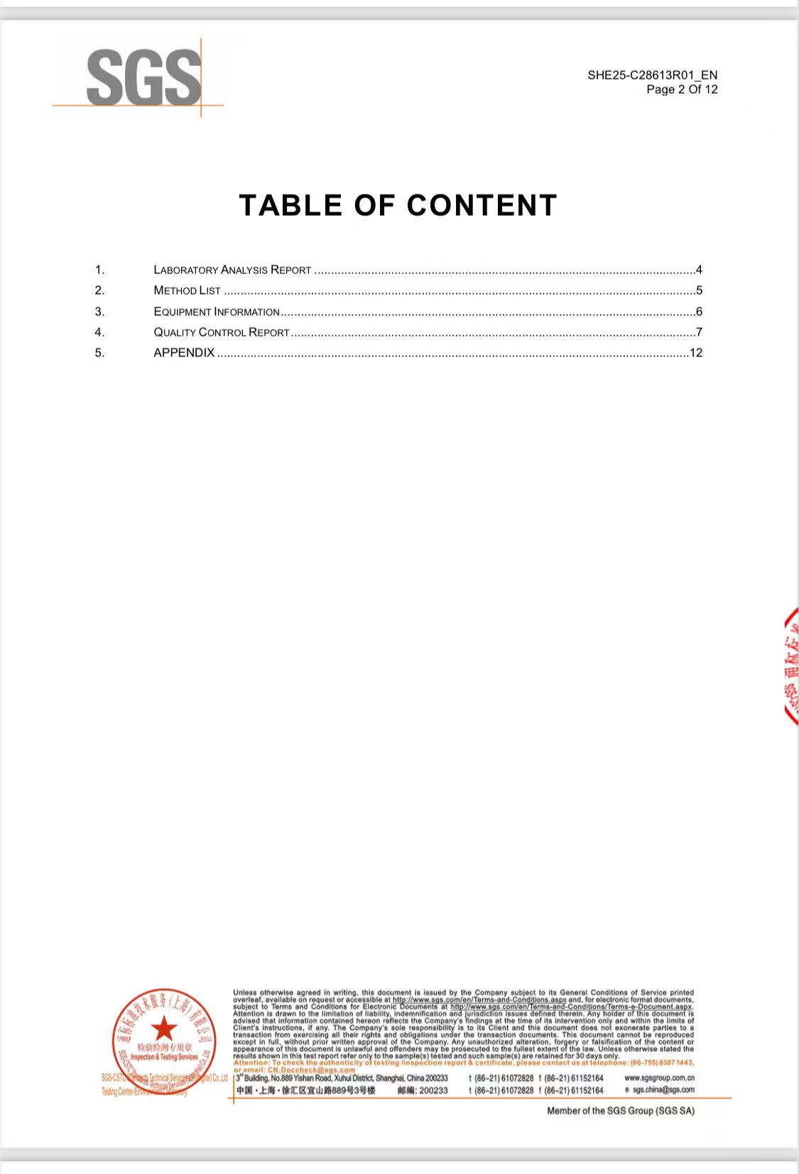 SGS Report Page 2