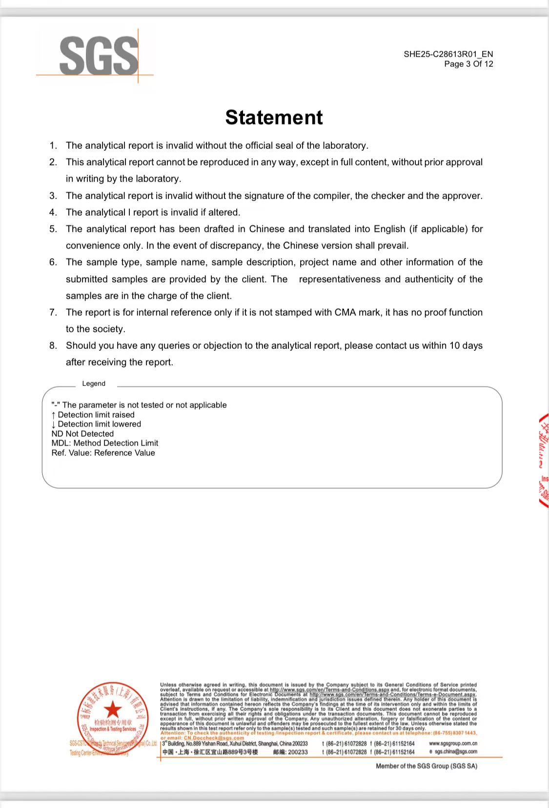 SGS Report Page 3